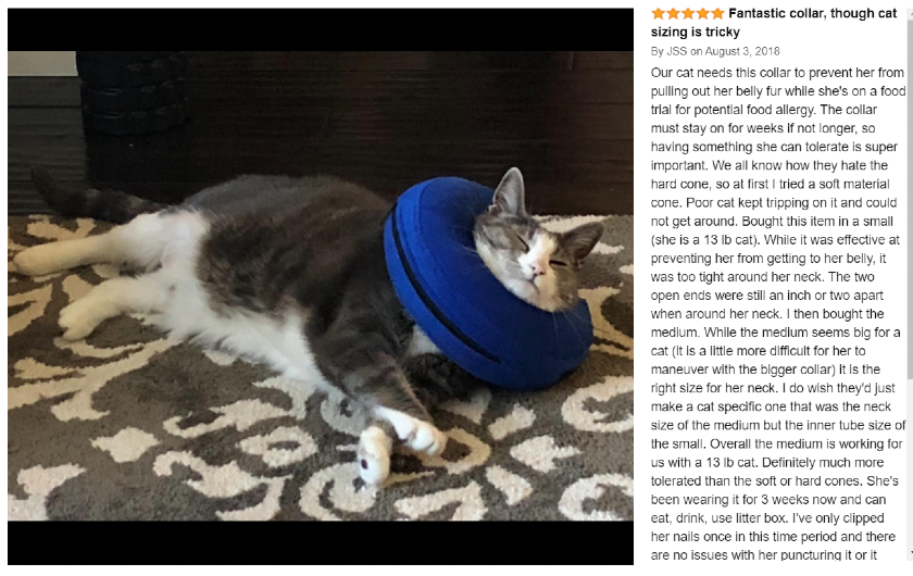 inflatable recovery cone for cats