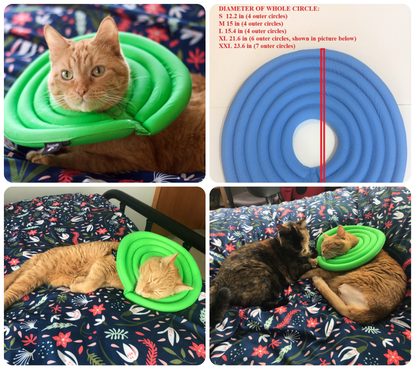 Top Three Pet Recovery Cone Alternatives For Tripawds Tripawds Gear