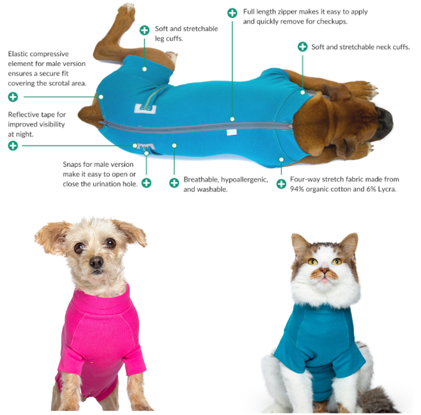 custom recovery cone alternative for dogs and cats