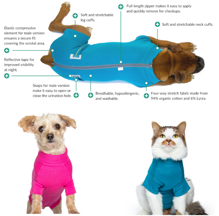 Alternatives to the cone for dogs hotsell