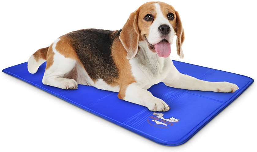 all breeds self-cooling dog bed