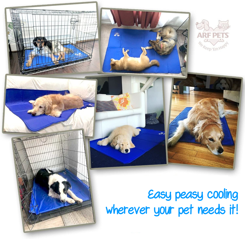 senior dogs self-cooling dog bed