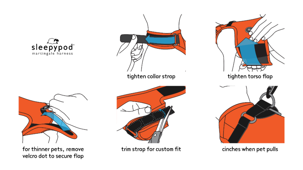 Sleepypod Martingale Dog Harness instructions