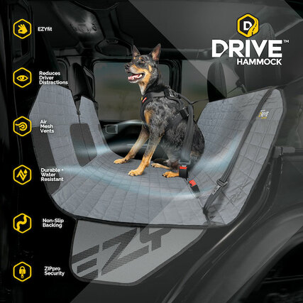 best car hammock for Tripawd dogs