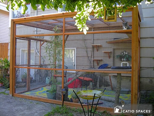 Outdoor cat enclosure idea