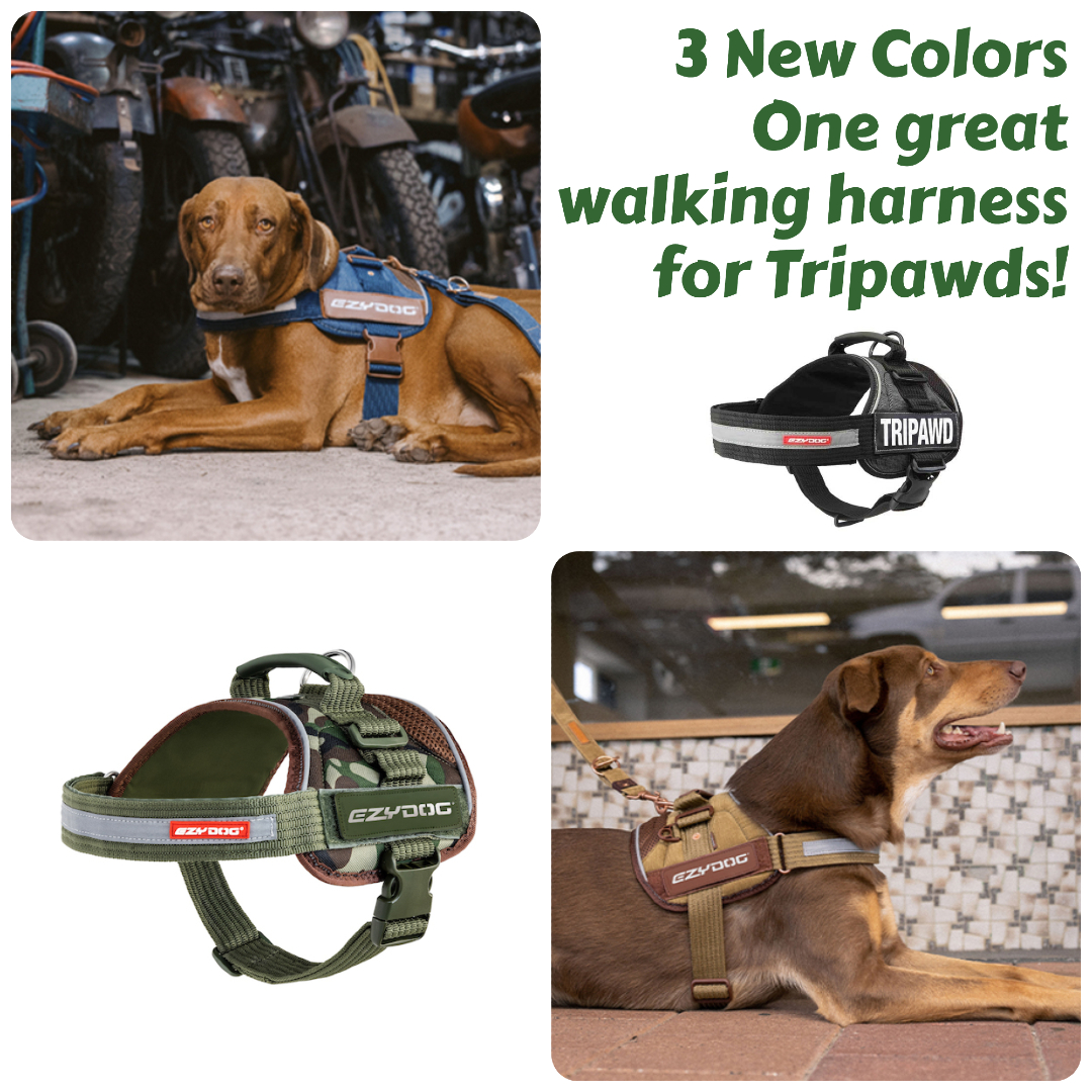 Tripawd walking harness colors