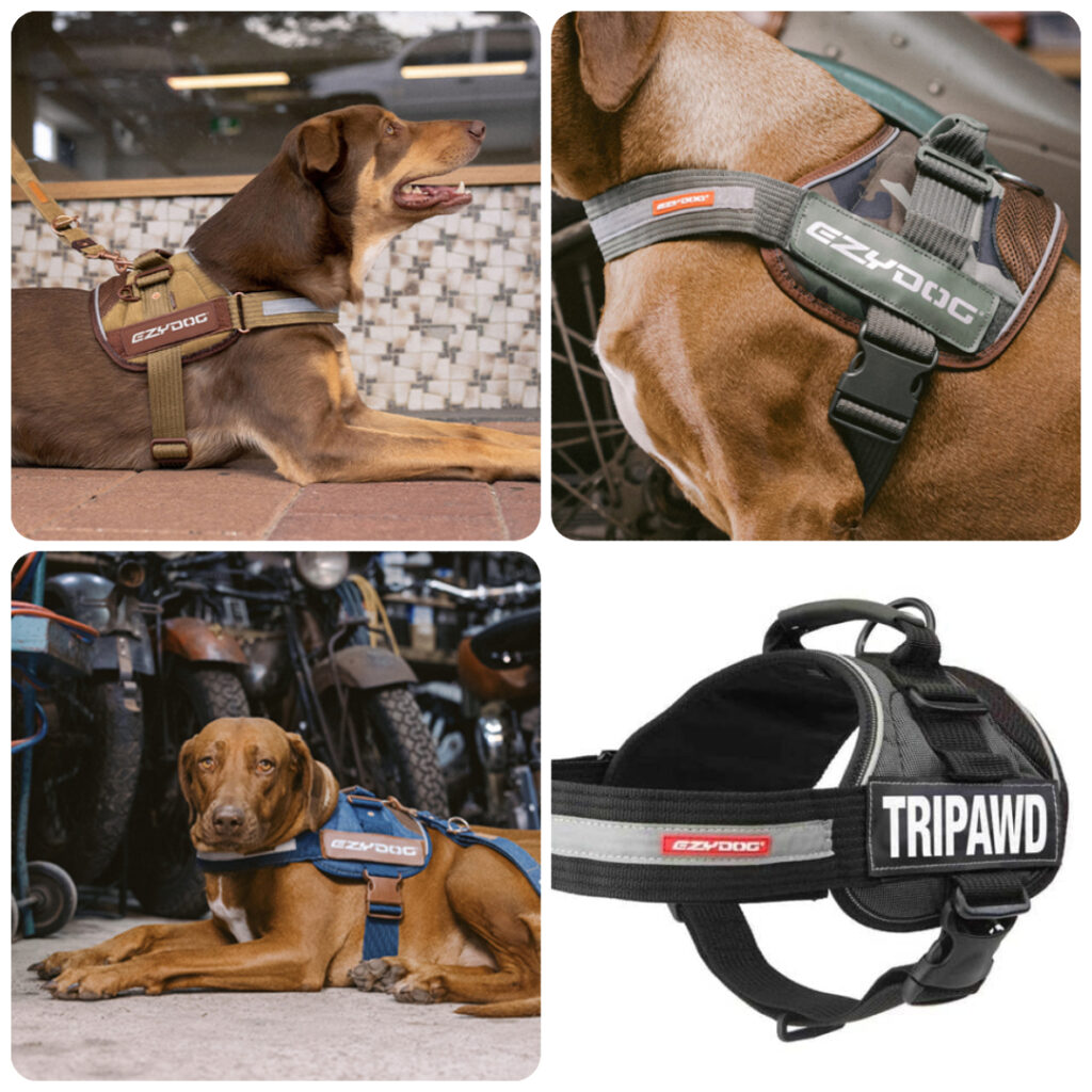 Tripawds walking harness