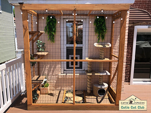 Catio 2024 on balcony