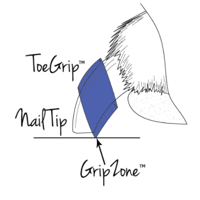 Toe Grips Help Tripawds