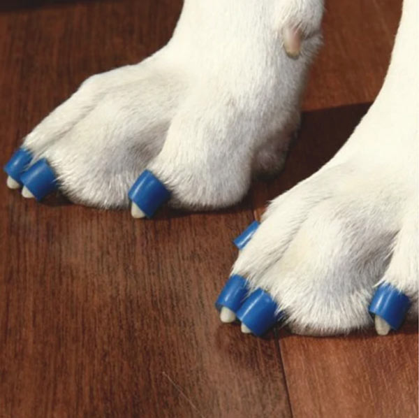 Nail Grips for Dogs - Instant Traction on Wood/Hardwood Floors