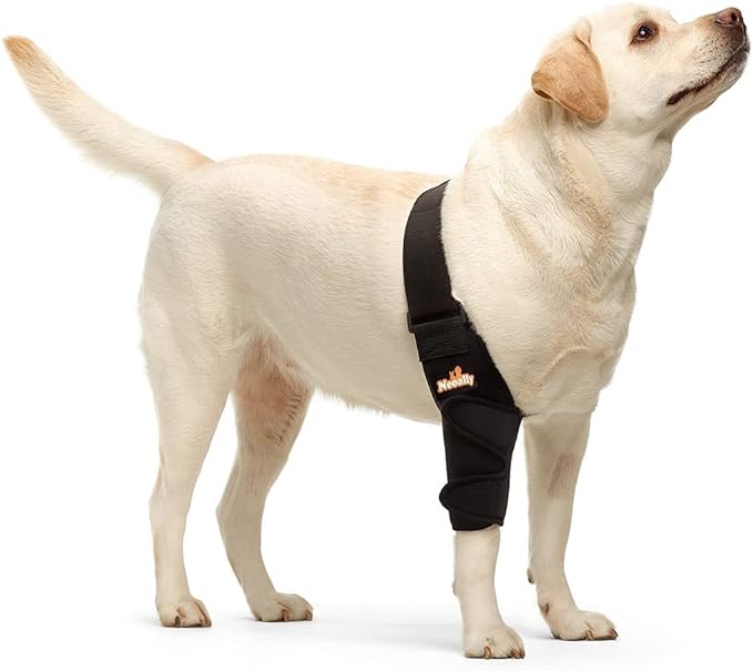 NeoAlly Dog Front Right Elbow Hygroma Protector