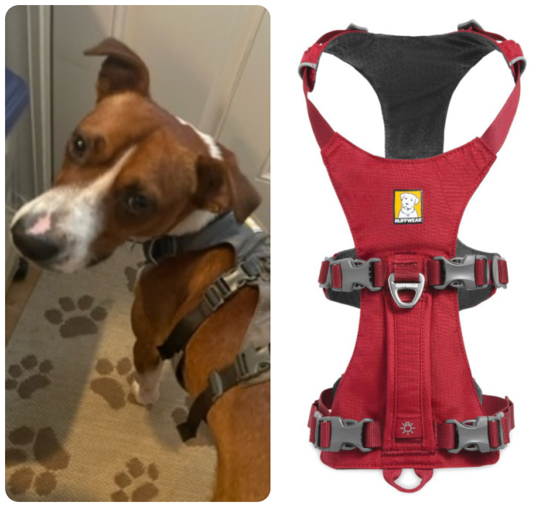 Flagline 3 legged dog harness