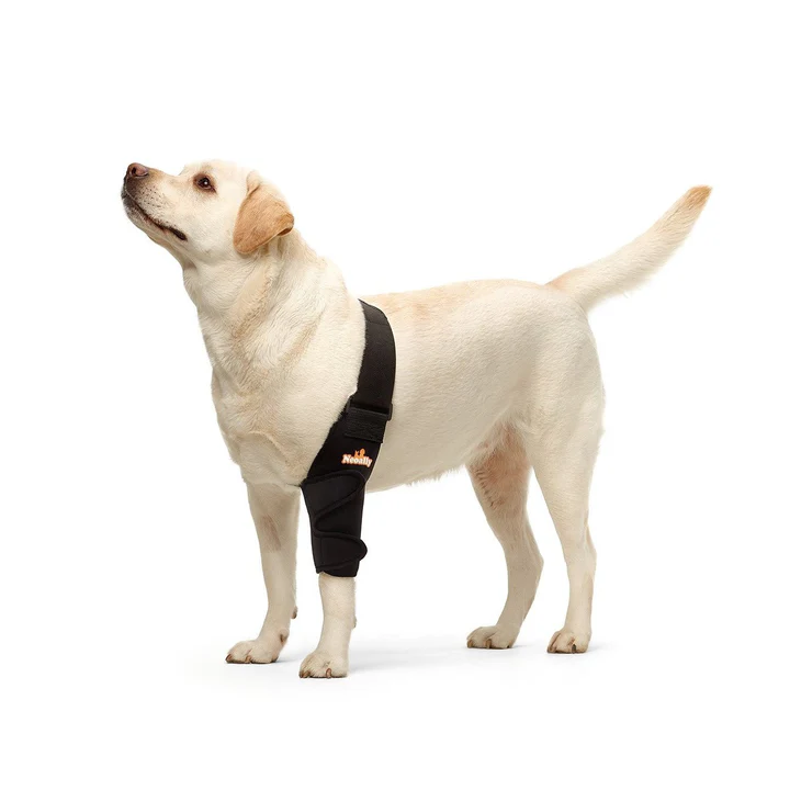 NeoAlly Dog Front Left Elbow Hygroma Protector