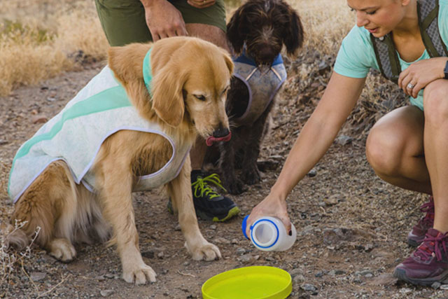 Keep Dogs Cool with Ruffwear Swamp Cooler Cooling Vest for Dogs