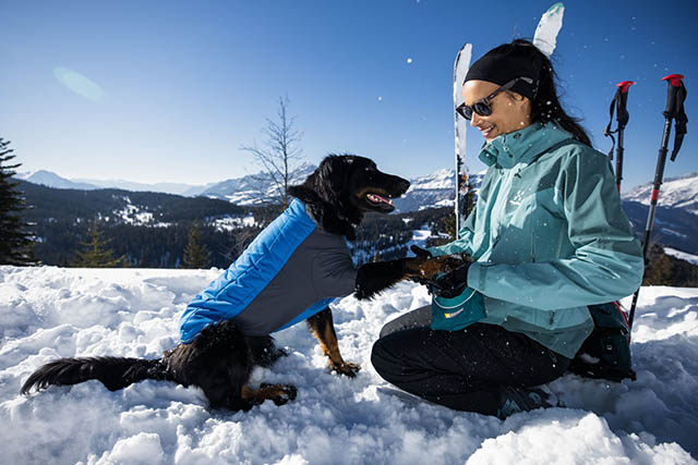 ruffwear powder hound tripawd dog jacket