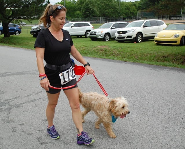 Foxy the Tripawd Running Dog