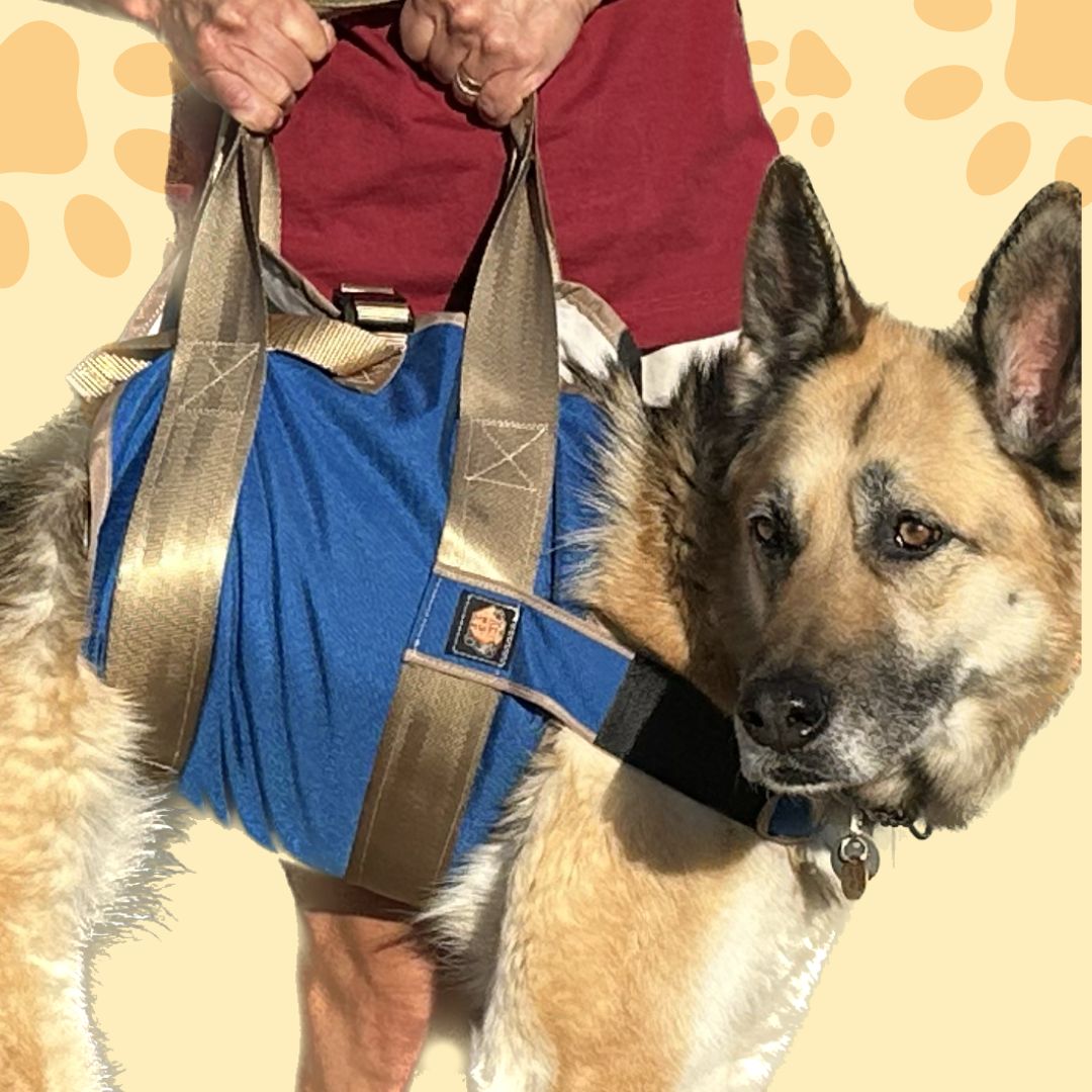 Nellie models the MedicMutts Dog Sling