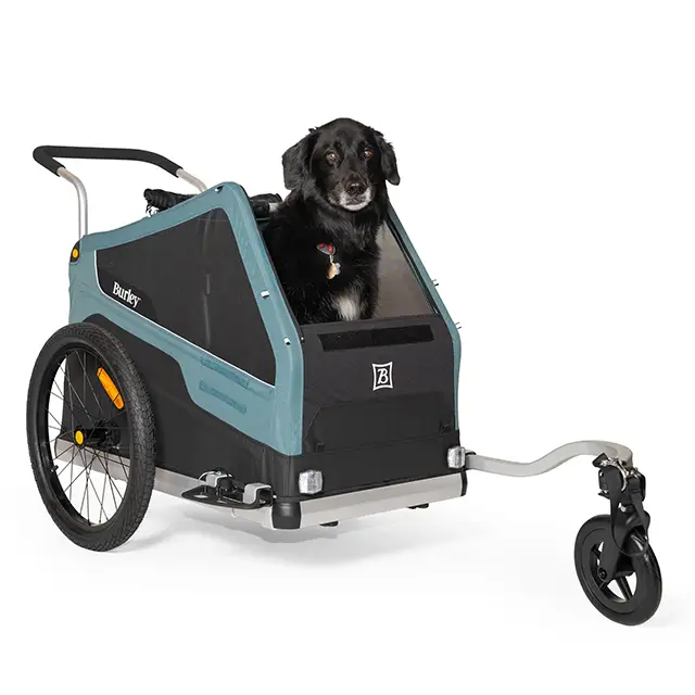Burley best Tripawd dog strollers
