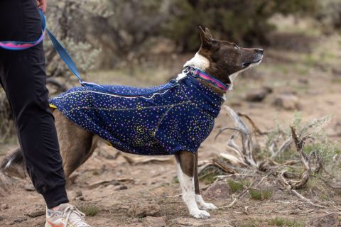 Galaxy Pattern Ruffwear Climate Changer Sweater for Tripawd Dogs