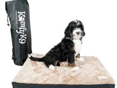 Komfy K9 Tripawd dog bed with free cover