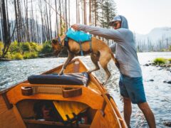 Ruffwear Confluence Life Vest helps Three Legged Dog Swimmer