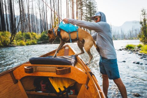 Ruffwear Confluence Life Vest helps Three Legged Dog Swimmer