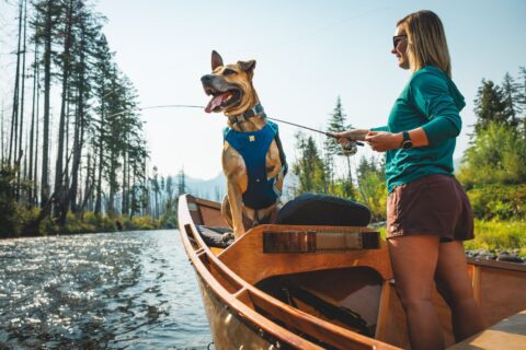 Ruffwear Confluence Life Vest on Three Legged Dog Swimmer