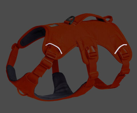 2025 Ruffwear Webmaster Harness in Blaze Orange helps four and three-legged dogs