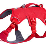 2025 Ruffwear Webmaster Harness in Red helps four and three-legged dogs