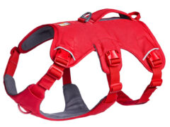 2025 Ruffwear Webmaster Harness in Red helps four and three-legged dogs