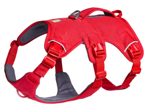 2025 Ruffwear Webmaster Harness in Red helps four and three-legged dogs