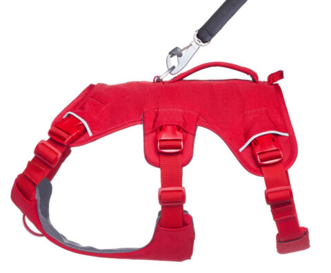 2025 Ruffwear Webmaster Harness in Red helps four and three-legged dogs