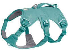 2025 Ruffwear Webmaster Harness River Rock Green for three-legged dogs