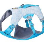 2025 Ruffwear Swamp Cooler Dog Harness Biolumin Blue