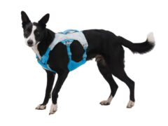 2025 Ruffwear Swamp Cooler Dog Harness Biolumin Blue