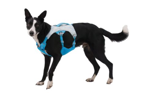 2025 Ruffwear Swamp Cooler Dog Harness Biolumin Blue