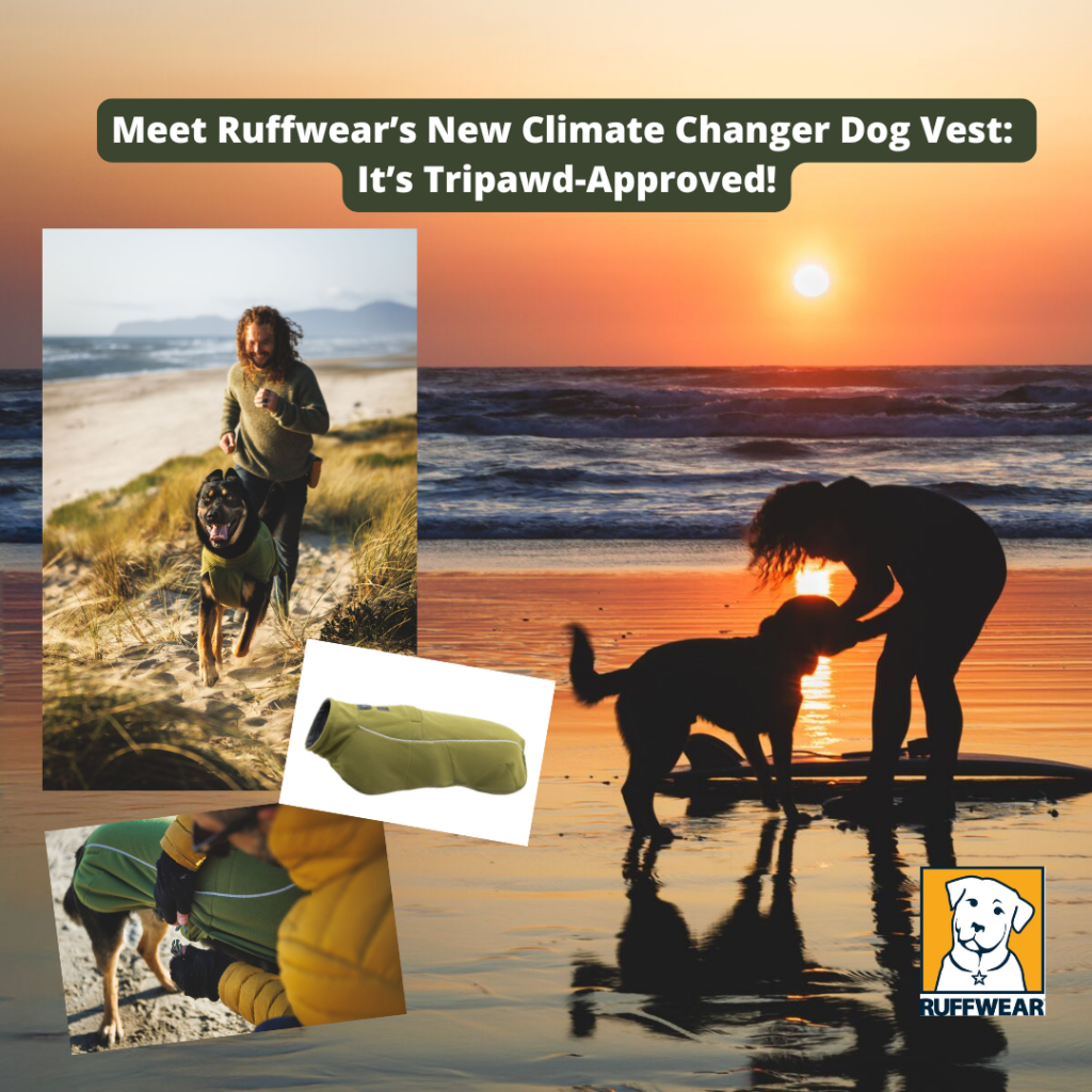 Ruffwear 2025 Climate Changer Fleece Dog Vest on the Beach