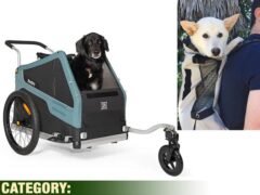 Mobility
