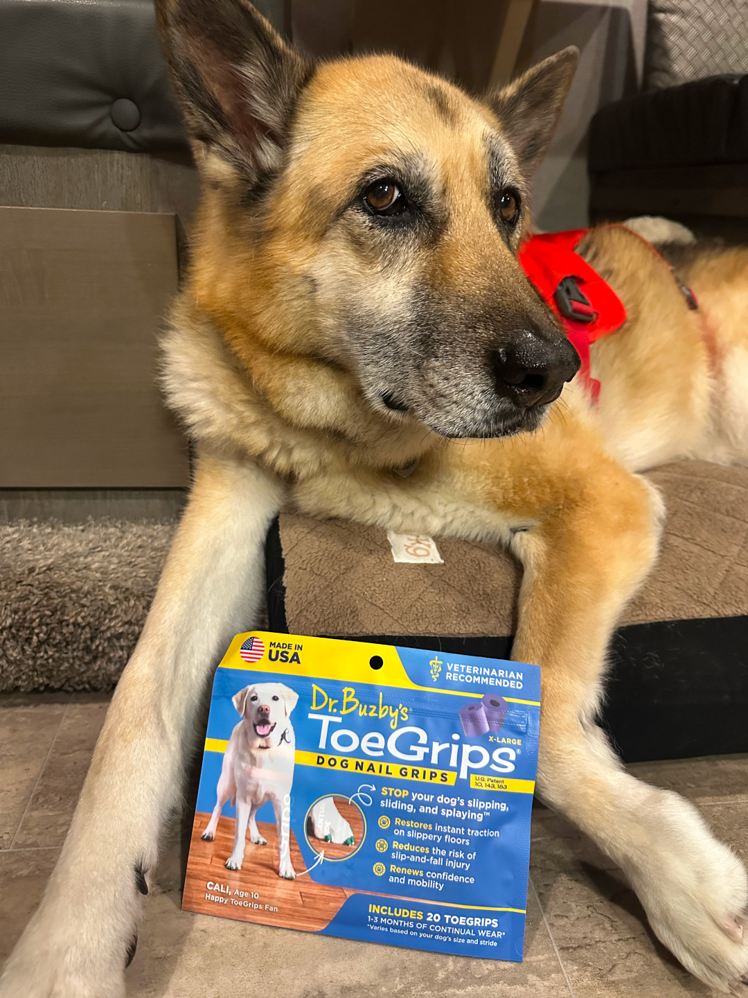 Nellie recommends Toe Grips for Tripawds!
