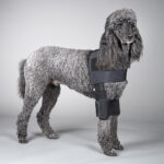 DogLeggs Protective Elbow Sleeve