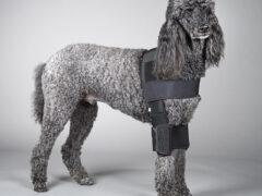 DogLeggs Protective Elbow Sleeve