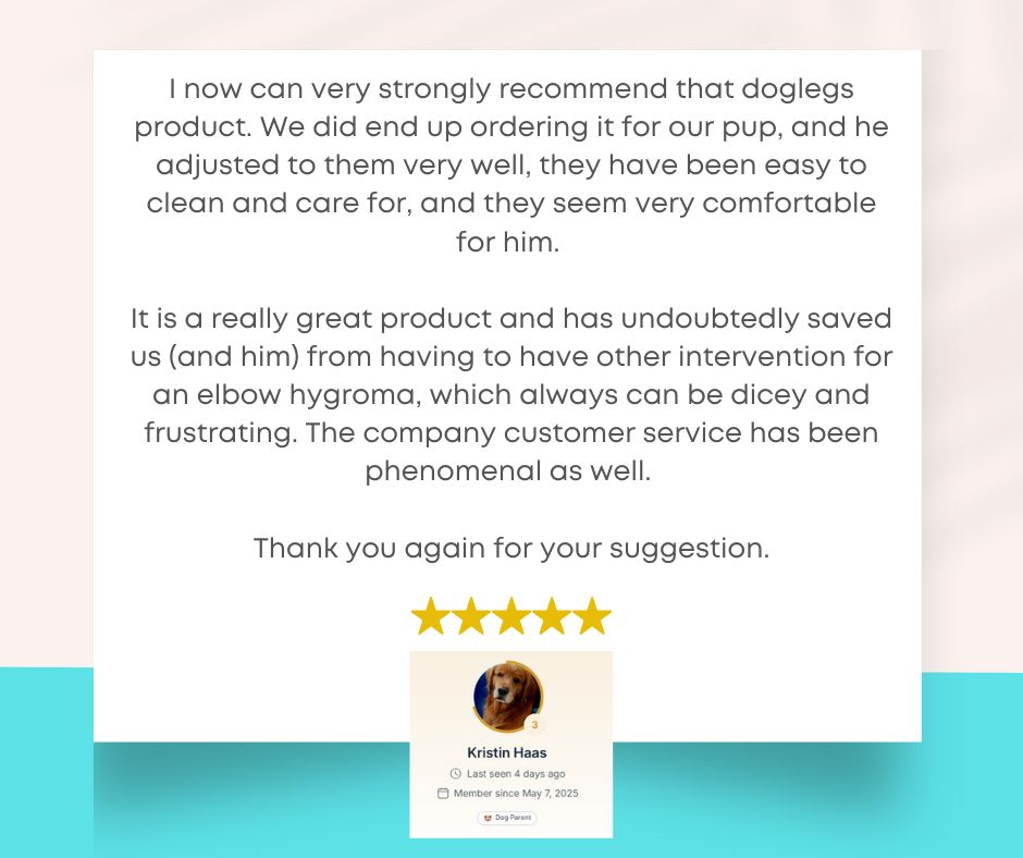 DogLeggs Elbow Protector Tripawd Testimonial
