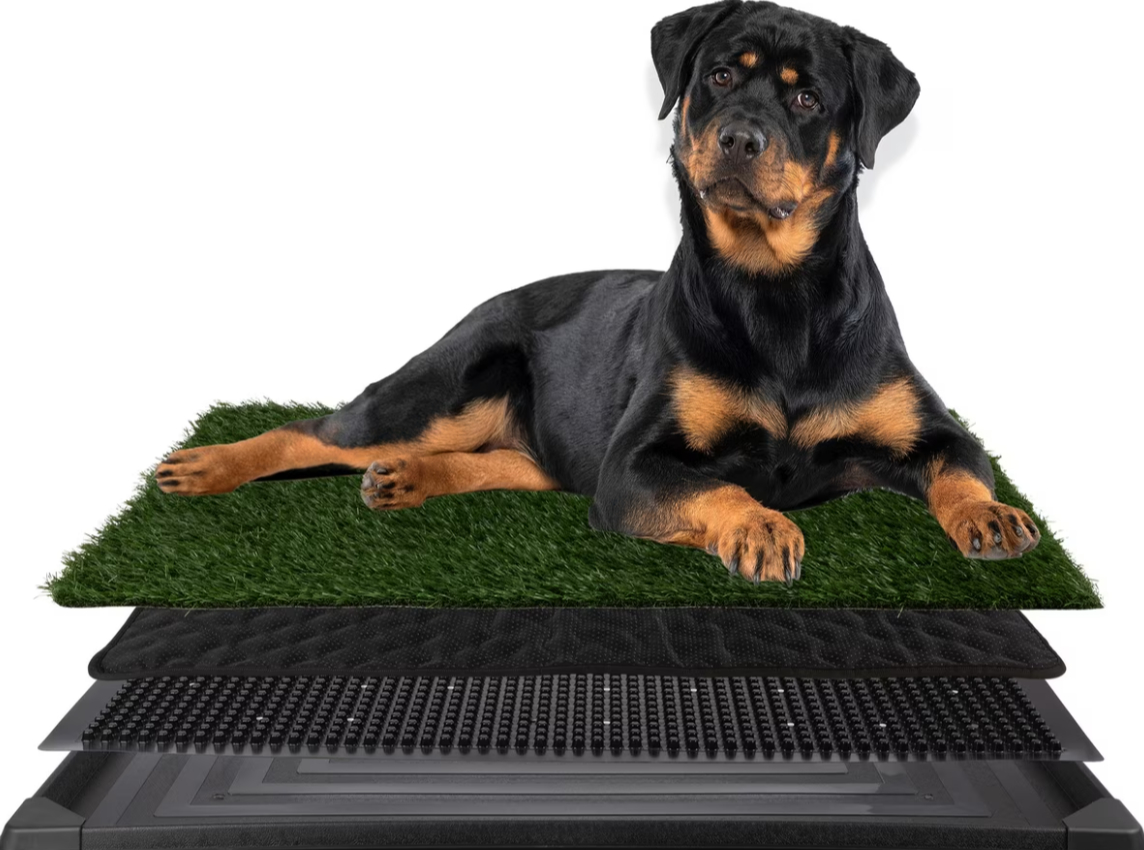 Indoor dog litter box with artificial grass for Tripawd recovery