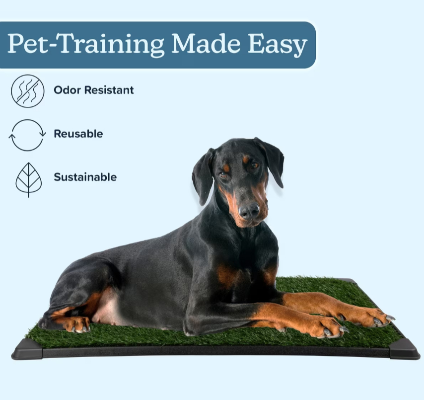 Indoor dog litter box with artificial grass for Tripawd recovery