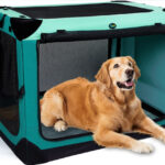 OwnDogs Hard Sided Collapsible Travel Crate