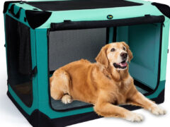 OwnDogs Hard Sided Collapsible Travel Crate