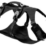 Ridgeline Harness
