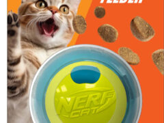 Nerf Cat Puzzle Feeder Ball