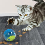 Nerf Cat Puzzle Feeder Ball