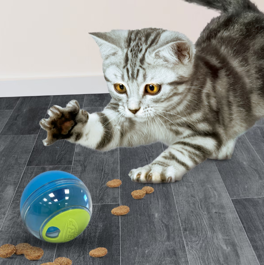 Nerf Cat Puzzle Feeder Ball